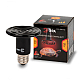 Инфракрасная лампочка ЭРА 50W Fito-50W-НQ Б0052714