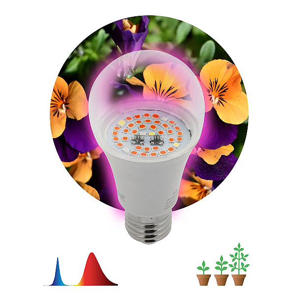 Лампа светодиодная для растений ЭРА E27 12W 1310K прозрачная FITO-12W-RB-E27-K Б0039070
