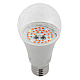 Лампа светодиодная для растений ЭРА E27 12W 1310K прозрачная FITO-12W-RB-E27-K Б0039070