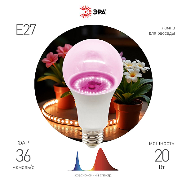 Фитолампа для растений Эра ФИТО A65-20W-PL-E27-GR Б0068597