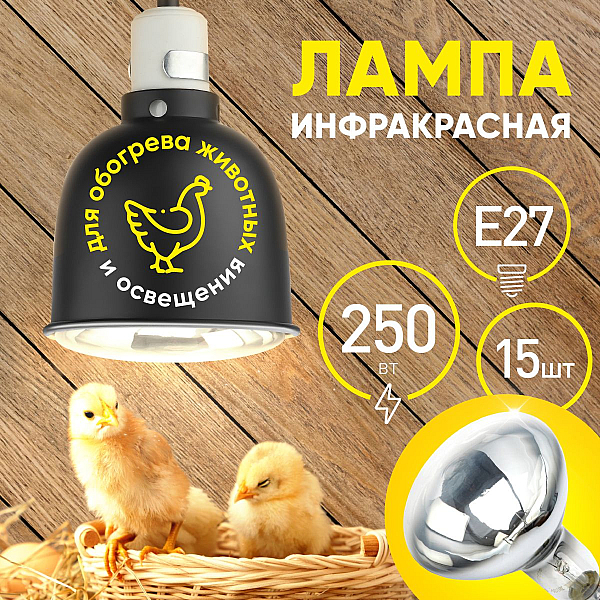 Лампа накаливания ЭРА E27 250W 2596K зеркальная ИКЗ 220-250 R127 E27 Б0042991