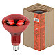 Лампа накаливания ЭРА R127 250W 1277K красная ИКЗК 220-250 R127 Б0042980