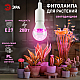 Фитолампа для растений Эра ФИТО A65-20W-PL-E27-GR Б0068597