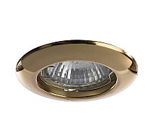 Встраиваемый светильник Arte Lamp Praktisch A1203PL-1GO