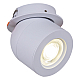 Спот Reluce 84063-9.0-001AY COB8W WT