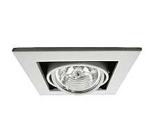 Встраиваемый светильник Arte Lamp Technika A5930PL-1SI