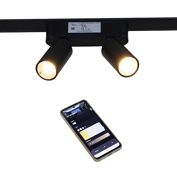 Трековый магнитный светильник (CCT+SMART) Reluce 13005-9.3-002UR magnetic LED2x5W BK CCT+SMART