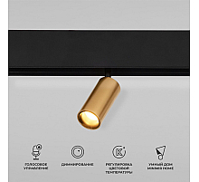 Магнитный трековый светильник  Elektrostandard Slim Magnetic Dim Cantors 5W 2700-6500K латунь 4690389195303 a063531