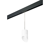 Трековый однофазный светильник Lightstar Rullo (213486+595887+201486) PRORP348686