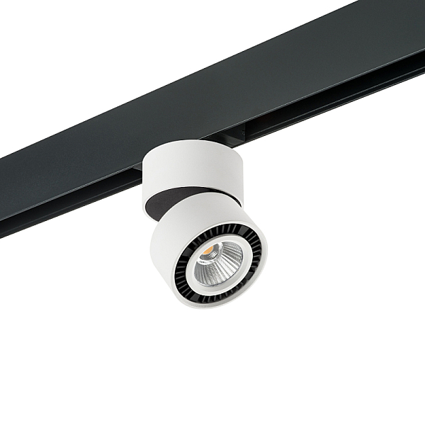 Трековый светильник Lightstar Forte Muro PRO213816 (595061+213816)