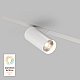 Трековый светильник Denkirs Smart DK8020-WH