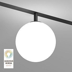 Трековый однофазный светильник Denkirs Smart Moon DK8051-BK