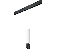 Трековый светильник Lightstar Rullo PRORP49637 (214496+595857+201437)