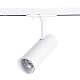 Трековый светодиодный светильник ST Luce Mono ST350.546.10.36