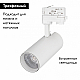 Трековый светильник Arlight LGD-Gera-4TR-R74-20W Warm SP2900-Meat 032463