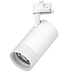 Трековый трехфазный светильник Quattro 20-55G с адаптером Lightstar Canno Pro C4406QT (304406 + 594006)