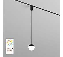 Трековый однофазный светильник Denkirs Smart Moon DK8056-BK