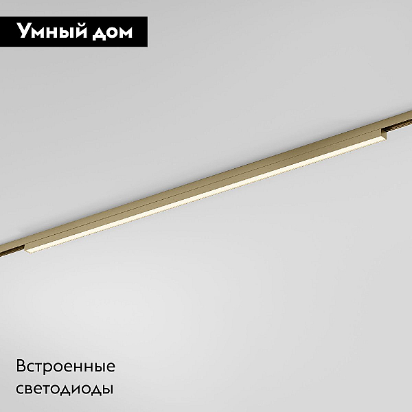 Трековый магнитный светильник Elektrostandard Line Magnetic 85527/01 4690389213649 a069635