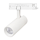 Трековый трехфазный светильник Arlight LGD-GERA-4TR-R55-10W Warm3000 (WH, 55 deg, 230V) 055150