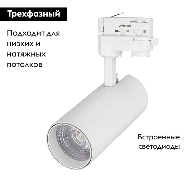 Трековый светильник Arlight LGD-Gera-4TR-R74-20W Cool SP7500-Fish 032460