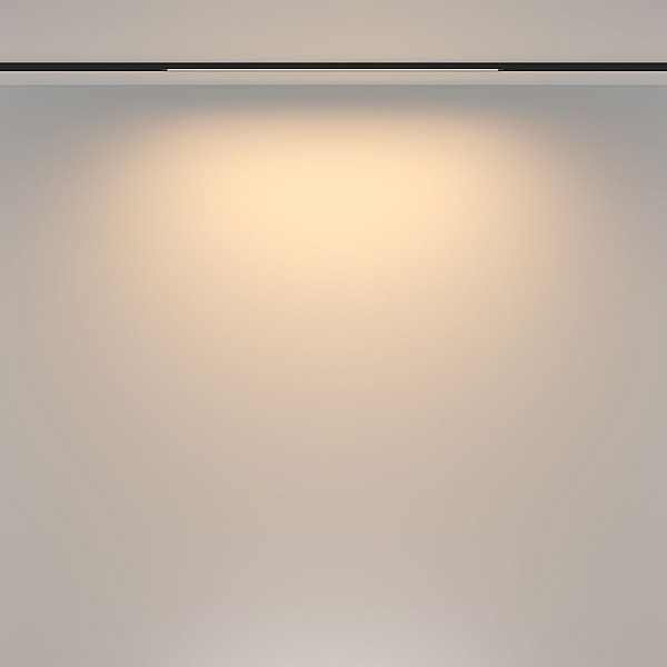 Трековый светильник Maytoni Technical TR173-1-16WTW-B