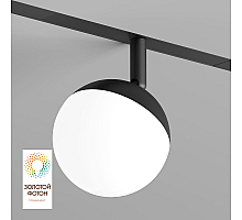 Трековый однофазный светильник Denkirs Smart Moon DK8055-BK