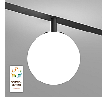 Трековый однофазный светильник Denkirs Smart Moon DK8050-BK