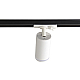 Светильник однофазный Crystal Lux CLT 0.31 019 WH
