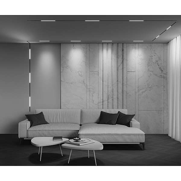 Трековый светильник Maytoni Technical EXILITY X Basis TR240-2-6W4K-B