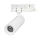 Трековый трехфазный светильник Arlight LGD-ARTEMIS-TRACK-4TR-R55-12W Warm3000 (WH, 8-80 deg, 230V, DALI) 057689