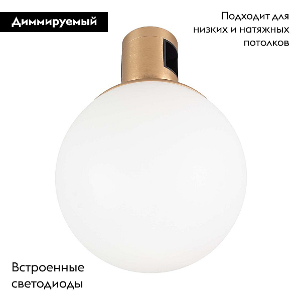 Трековый светодиодный светильник Arlight Art-Apriori-Sfero-R120-5W Day4000 044905
