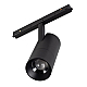 Трековый магнитный светильник Arlight MAG-ORIENT-SPOT-ZOOM-R65-15W Day4000 (BK, 20-60 deg, 48V) (IP20 Металл) 037458(1)