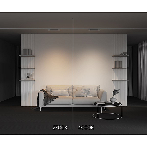 Трековый трехфазный светильник Maytoni Technical Basis TR196-3-10W4K-W(N)
