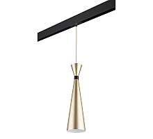 Трековый светильник Lightstar Dumo PRO816313 (816313+595007)