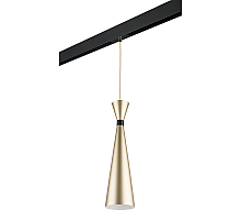 Трековый светильник Lightstar Dumo PRO816313 (816313+595007)