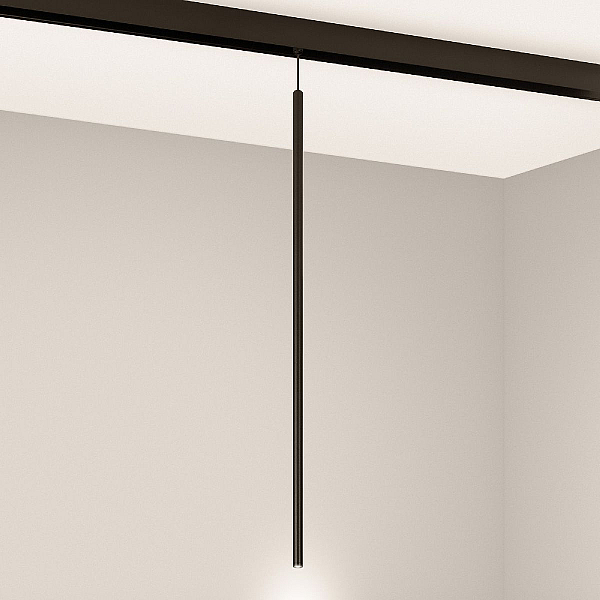 Трековый магнитный светильник Arlight MAG-ORIENT-SPOT-HANG-L600-R12-2W Warm3000 (BK, 20 deg, 48V) 044502