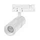 Трековый светодиодный светильник Arlight LGD-Artemis-Track-4TR-R55-12W Day4000 048320