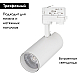 Трековый светильник Arlight LGD-Gera-Truecolor-4TR-R74-20W Warm3000 CRI98 031410