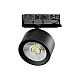 Трековый трехфазный светильник Quattro LED с адаптером Lightstar Alta Pro A5537QT (215537 + 594037)