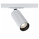 Трековый светильник Maytoni Technical Focus LED TR021-1-12W3K-W-D-W