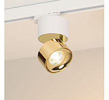 Трековый трехфазный светильник Arlight SP-PLURIO-TRACK-4TR-R77-9W Warm3000 (WH-BRS, 36 deg, 230V) (IP20 Металл) 038114