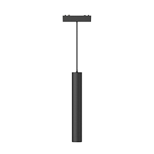 Трековый магнитный светильник Aployt Magnetic track 48 APL.0126.00.06