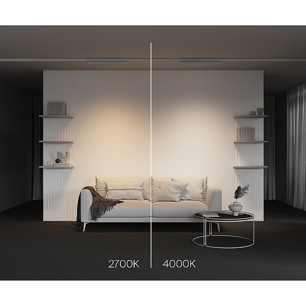 Трековый трехфазный светильник Maytoni Technical Basis TR196-3-20W2.7K-W(N)