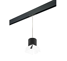 Трековый однофазный светильник Lightstar Rullo (213487+595887+202486) PRORP3487486