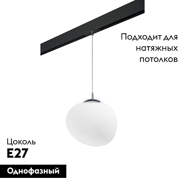 Трековый светильник Lightstar Arnia PRO805016 (805016+595007)