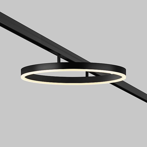 Трековый светильник Maytoni Technical TR227-2-24W3K-B