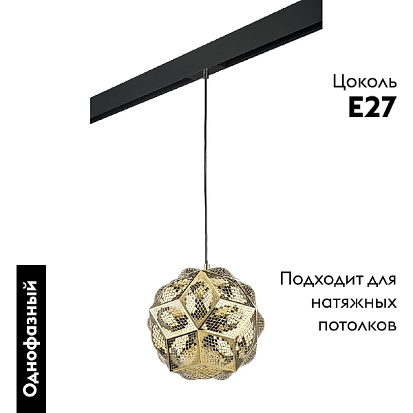 Трековый однофазный светильник Lightstar Fermo (724312+595007) PRO724312