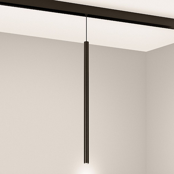 Трековый магнитный светильник Arlight MAG-ORIENT-SPOT-HANG-L500-R20-3W Warm3000 (BK, 20 deg, 48V) 046897