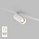 Трековый светильник Denkirs Smart DK8010-WH
