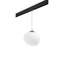 Трековый светильник Lightstar Arnia PRO805016 (805016+595007)